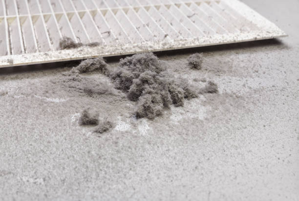 Best Air Duct Cleaning Company Near Me  in Coldwater, MS