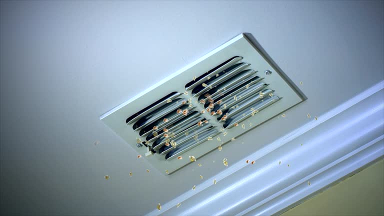 Best Air Vent Cleaning Services  in Coldwater, MS