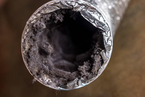 Best Air Duct Cleaning Near Me  in Coldwater, MS