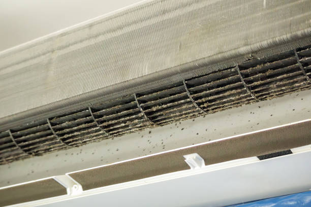 Best Commercial Air Duct Cleaning  in Coldwater, MS