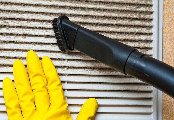 Best Air Duct Cleaning Company Near Me  in Coldwater, MS